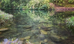 Saint-Benoît : baignade interdite au Bassin Mangue