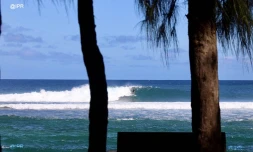 Spot surf Saint-Leu