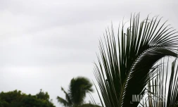 La météo sur La Réunion