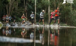 Dodo Trail 2026 : les traileurs réunionnais brillent sur les sentiers mauriciens