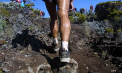 trail