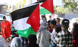 palestine 