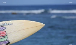 championnat de la reunion de surf 