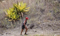 Grand raid