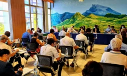 conseil municipal tampon