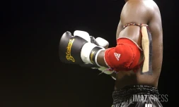 muay thai