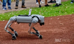Chien robot, Technologies