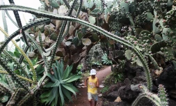 jardins