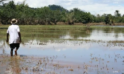 madagascar