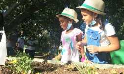 jardin EugĂšne Dayot