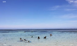Pique-nique contre les restaurants de plage 4 février 2018