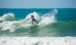 Surf