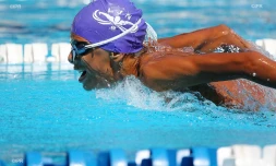 natation 
