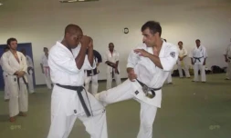 Shidokan Karaté