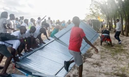 Affaire paillotes Maurice