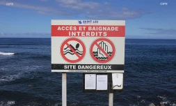 panneaux prévention requins