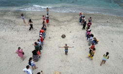 Concours Océano Pour Tous : les élèves de Quartier Français se mobilisent pour la préservation des tortues marines 