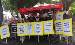 CSAPR, Révoltés du 974, LPLP, manifestent contre les élus corrompus, jardins de la préfecture