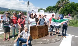 Manifestation pour la Palestine