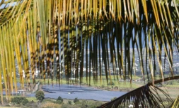 Ferme Photovoltaïque