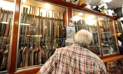 systeme informations sur les armes  SIA 