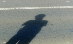 Gendarme 