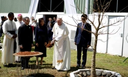 Le pape muni d'une pelle jette de la terre au pied d'un baobad tout juste planté en présence du président malgache Andry Rajoelina, le 7 septembre 2019 au palais présidentiel d'Antananarivo