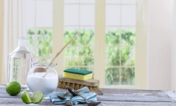 TCO : Ménage au naturel