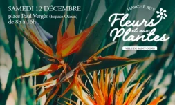 Marché aux fleurs et aux plantes