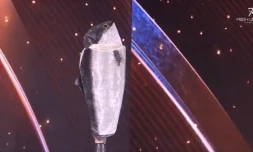 [Vidéo] Miss Univers : la candidate norvégienne fait sensation en saumon