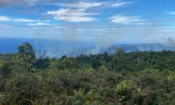 La Montagne : les pompiers tentent de maîtriser un feu de broussaille au niveau de Saint-Bernard