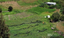 terrain agricole Ă cilaos