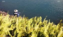 illustrations photos 