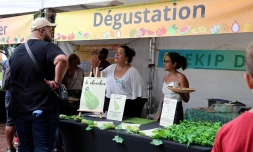 Saint-Denis : un Dimanche au Barachois spécial Journée de la Terre