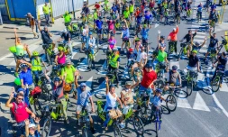Les vélos verts de la Cinor fêtent leur un an