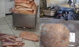 Viande au sol, cafards, excréments d'oiseaux : deux commerces du sud fermés pour "risques graves" pour les consommateurs