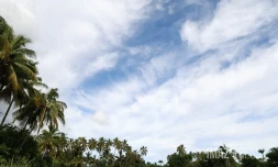 météo réunion
