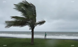 météo réunion 