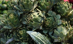 Marché forain en couleur 