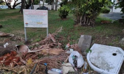 Band Cochon : 81 photos pour seulement six villes 