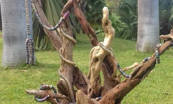 land art expo Saint-Leu