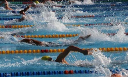 interclubs de natation 2015