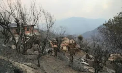 Des bĂątiments endommagĂ©s sur une colline ravagĂ©e aprĂšs le passage d'un incendie de forĂȘt Ă Bordj T'har, une localitĂ© et commune de la wilaya de Jijel, dans le nord-est de l'AlgĂ©rie, le 27 aoĂ»t 2026 ( AFP / - )