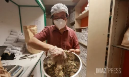 Chikungunya tisane pharmacie Claude Cheung Lung