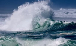 forte houle australe