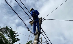 rétablissement réseau edf électricité cyclone batsirai 8 février 2022