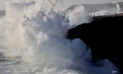 houle 18 août 2019