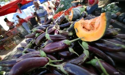 marché forain 