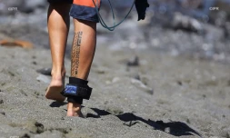 dispositif de dissuasion des requins