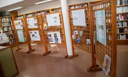 Le Port : l'exposition "Fanal Si Fanm" est annoncée